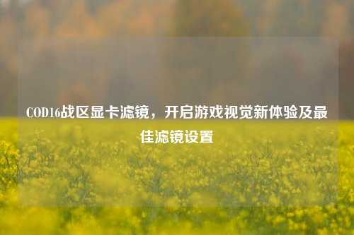 COD16战区显卡滤镜,开启游戏视觉新体验及最佳滤镜设置