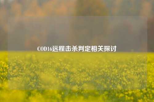 COD16远程击杀判定相关探讨
