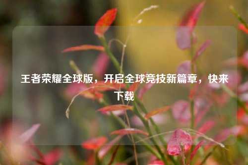 王者荣耀全球版,开启全球竞技新篇章,快来下载