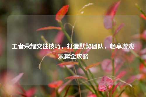 王者荣耀交往技巧，打造默契团队，畅享游戏乐趣全攻略