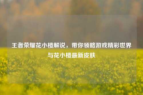 王者荣耀花小楼解说,带你领略游戏精彩世界与花小楼最新皮肤