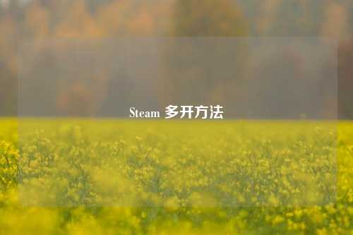 Steam 多开方法