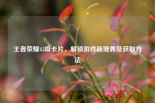 王者荣耀45级卡片,解锁游戏新境界及获取方法