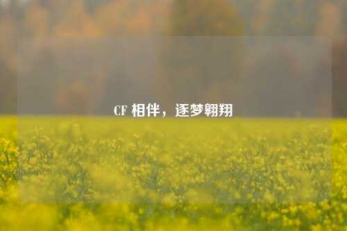 CF 相伴,逐梦翱翔