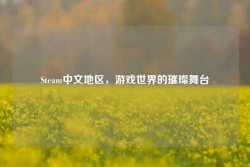 Steam中文地区,游戏世界的璀璨舞台