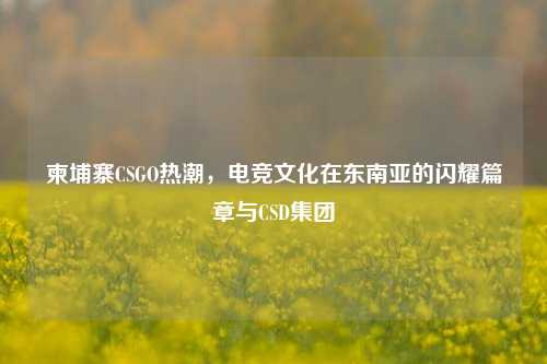 柬埔寨CSGO热潮,电竞文化在东南亚的闪耀篇章与CSD集团