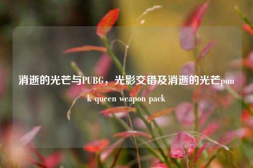 消逝的光芒与PUBG,光影交错及消逝的光芒punk queen weapon pack