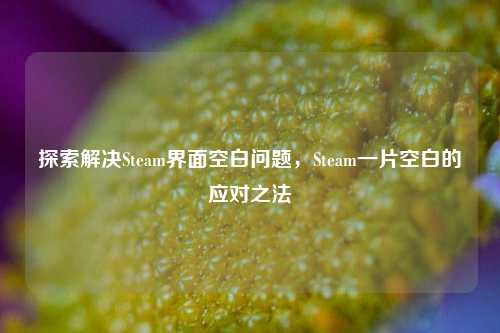 探索解决Steam界面空白问题，Steam一片空白的应对之法
