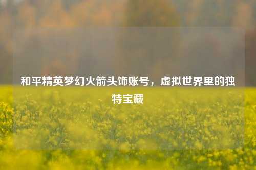 和平精英梦幻火箭头饰账号,虚拟世界里的独特宝藏