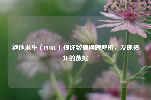 绝地求生(PUBG)损坏数据问题解析,发现损坏的数据