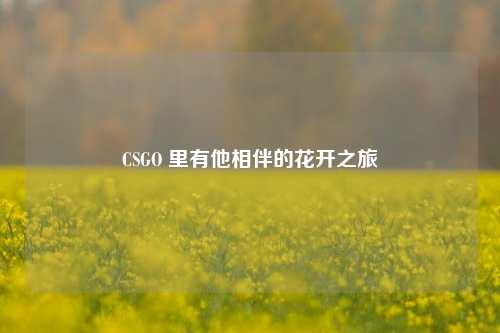 CSGO 里有他相伴的花开之旅