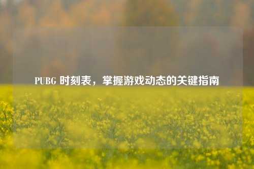 PUBG 时刻表,掌握游戏动态的关键指南