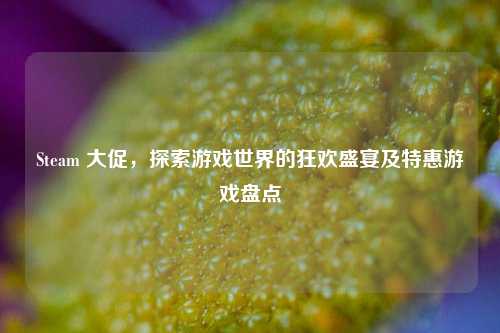 Steam 大促,探索游戏世界的狂欢盛宴及特惠游戏盘点