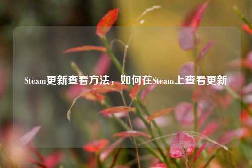 Steam更新查看方法,如何在Steam上查看更新