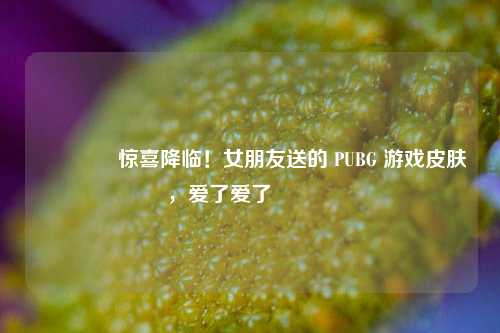 🎁惊喜降临!女朋友送的 PUBG 游戏皮肤,爱了爱了💕