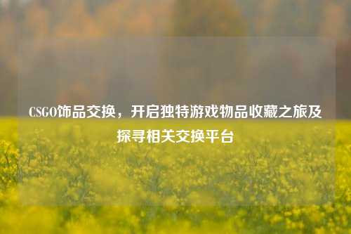 CSGO饰品交换,开启独特游戏物品收藏之旅及探寻相关交换平台