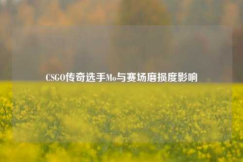 CSGO传奇选手Mo与赛场磨损度影响