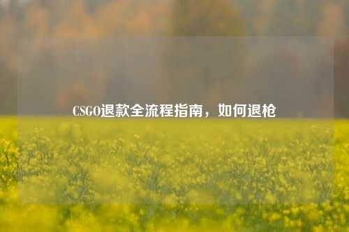 CSGO退款全流程指南，如何退枪