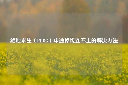 绝地求生（PUBG）中途掉线连不上的解决办法
