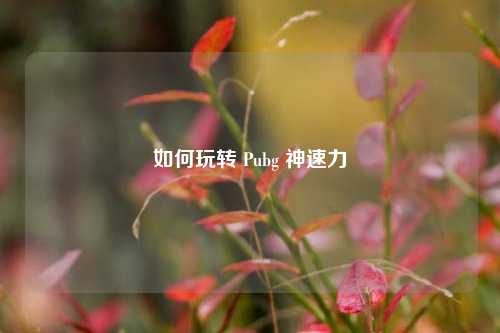 如何玩转 Pubg 神速力