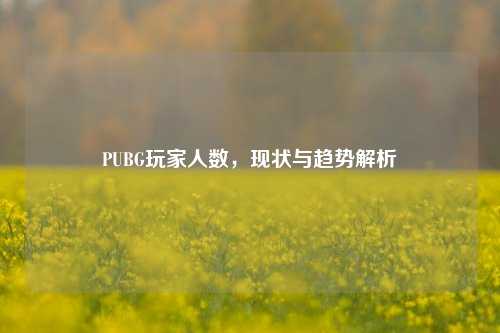 PUBG玩家人数，现状与趋势解析