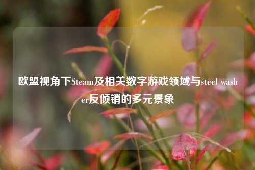 欧盟视角下Steam及相关数字游戏领域与steel washer反倾销的多元景象