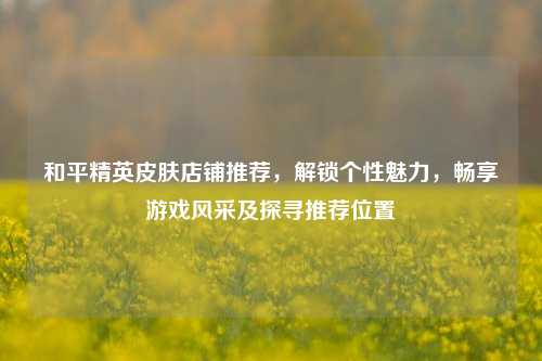 和平精英皮肤店铺推荐，解锁个性魅力，畅享游戏风采及探寻推荐位置