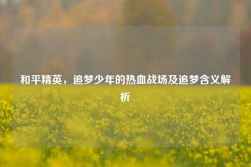 和平精英，追梦少年的热血战场及追梦含义解析