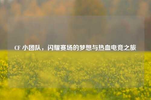 CF 小团队，闪耀赛场的梦想与热血电竞之旅