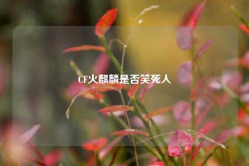 CF火麒麟是否笑死人