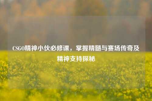 CSGO精神小伙必修课，掌握精髓与赛场传奇及精神支持探秘