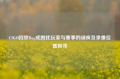 CSGO回放Bug成困扰玩家与赛事的顽疾及录像位置探寻