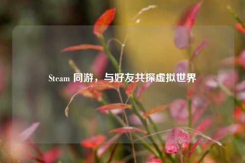 Steam 同游，与好友共探虚拟世界