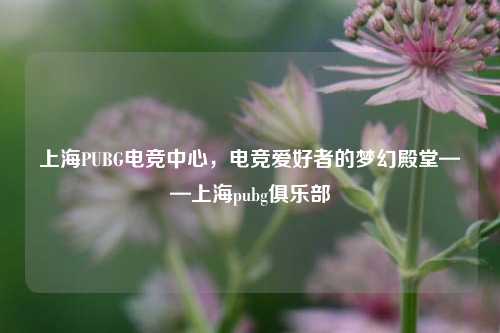 上海PUBG电竞中心，电竞爱好者的梦幻殿堂——上海pubg俱乐部