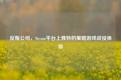 反叛公司，Steam平台上独特的策略游戏战役体验
