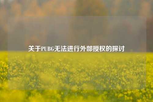 关于PUBG无法进行外部授权的探讨