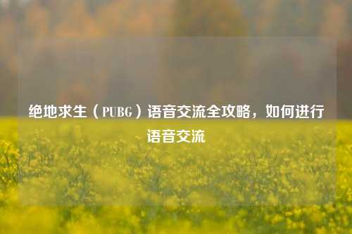 绝地求生（PUBG）语音交流全攻略，如何进行语音交流