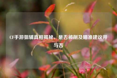 CF手游狙辅真相揭秘，是否被削及瞄准建议开与否