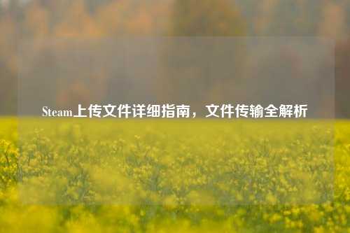 Steam上传文件详细指南，文件传输全解析