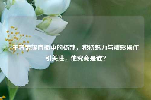王者荣耀直播中的杨戬，独特魅力与精彩操作引关注，他究竟是谁？