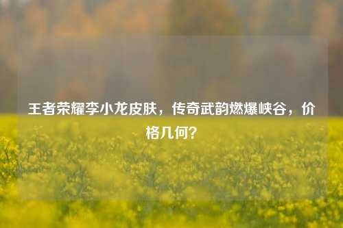 王者荣耀李小龙皮肤，传奇武韵燃爆峡谷，价格几何？