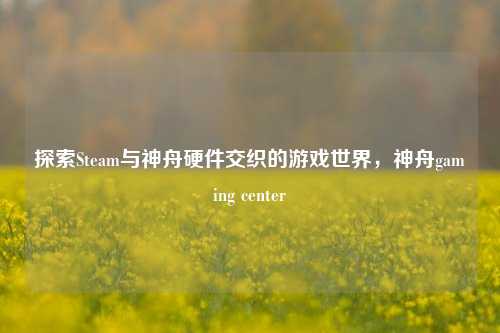 探索Steam与神舟硬件交织的游戏世界，神舟gaming center