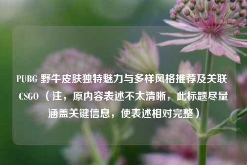 PUBG 野牛皮肤独特魅力与多样风格推荐及关联 CSGO （注，原内容表述不太清晰，此标题尽量涵盖关键信息，使表述相对完整）