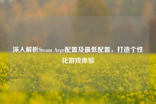 深入解析Steam Argo配置及最低配置，打造个性化游戏体验