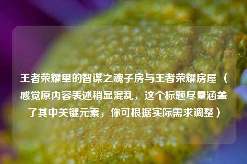 王者荣耀里的智谋之魂子房与王者荣耀房屋 (感觉原内容表述稍显混乱,这个标题尽量涵盖了其中关键元素,你可根据实际需求调整)