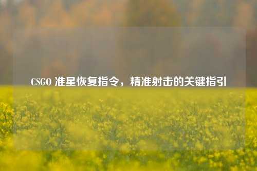 CSGO 准星恢复指令，精准射击的关键指引