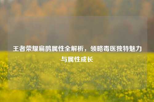王者荣耀扁鹊属性全解析，领略毒医独特魅力与属性成长