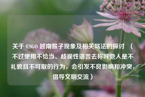 关于 CSGO 越南猴子现象及相关骂法的探讨  （不过使用不恰当、歧视性语言去称呼他人是不礼貌且不可取的行为，会引发不良影响和冲突，倡导文明交流）