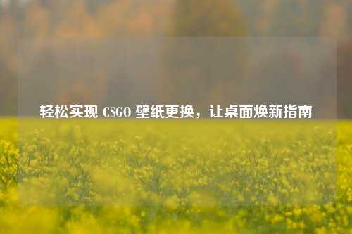 轻松实现 CSGO 壁纸更换，让桌面焕新指南