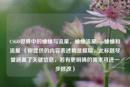 CSGO世界中的蛐蛐与流星，蛐蛐流星csgo蛐蛐和流星 （你提供的内容表述稍显模糊，此标题尽量涵盖了关键信息，若有更明确的需求可进一步修改）